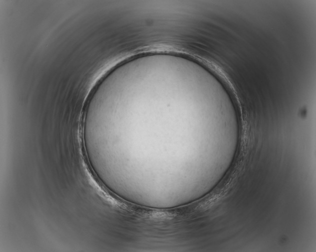 X0000115680847200912031418