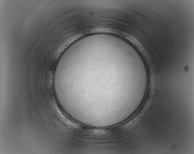 X0000115680849200912031418