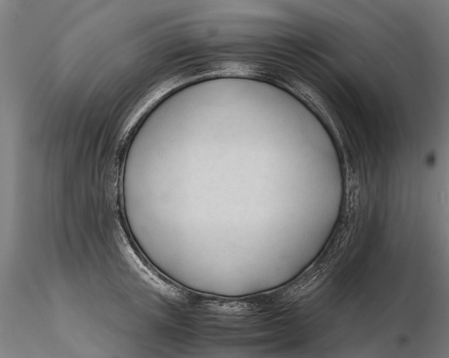 X0000115680851200912031418