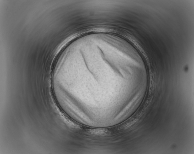 X0000115680853200912031418