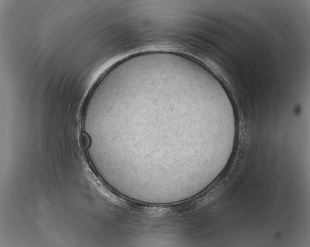 X0000115680854200912031418