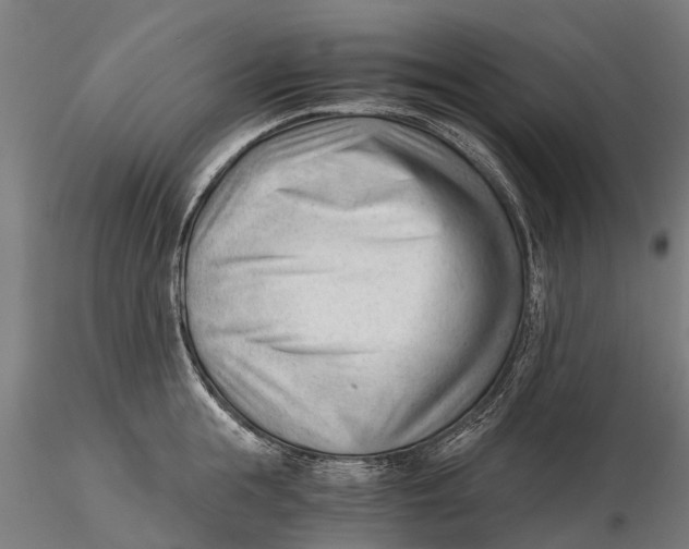 X0000115680855200912031418