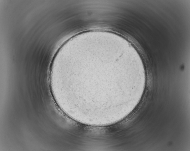 X0000115680856200912031418