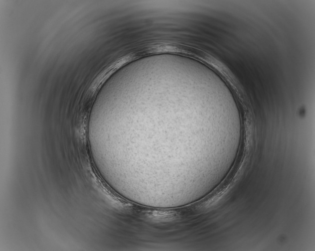 X0000115680857200912031418