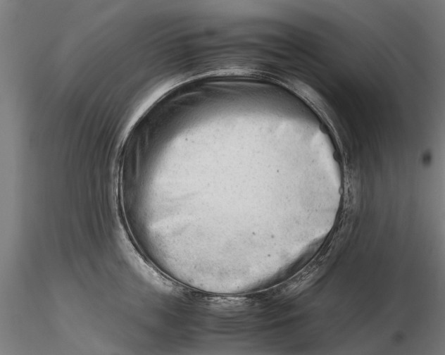 X0000115680859200912031418