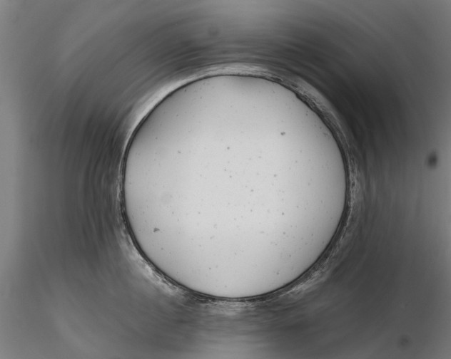 X0000115680860200912031418