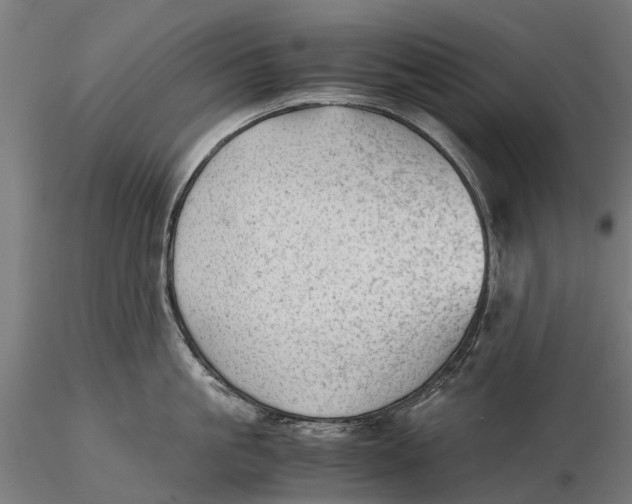 X0000115680861200912031418