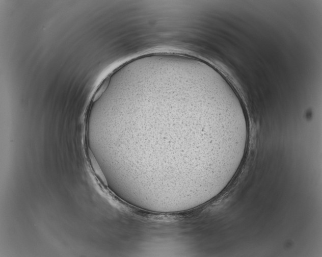 X0000115680862200912031418