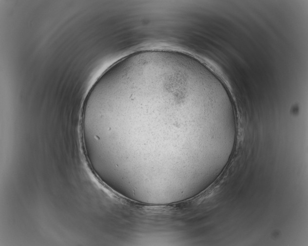 X0000115680863200912031418