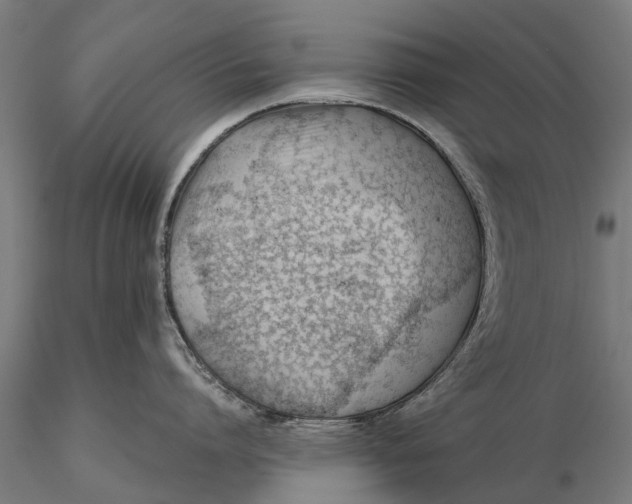 X0000115680864200912031418