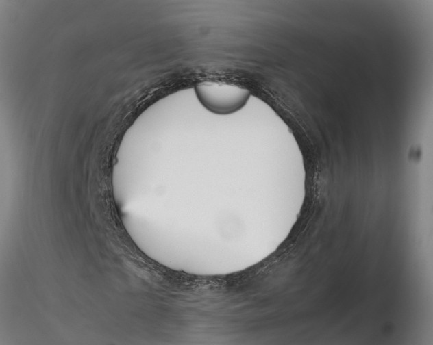 X0000115680865200912031417