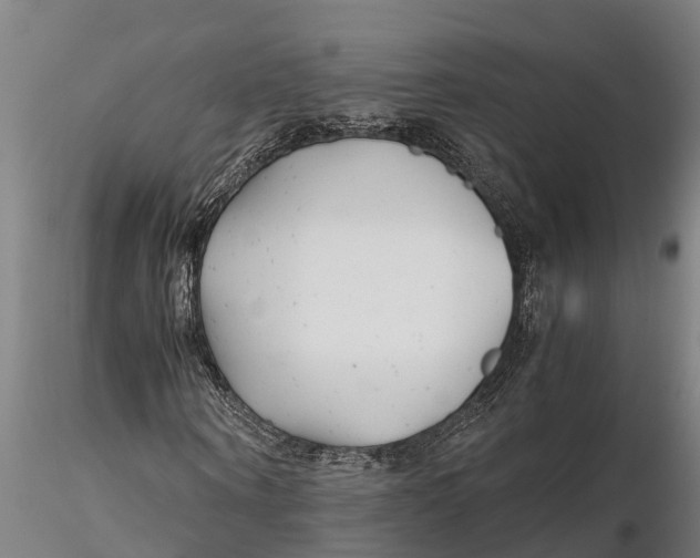 X0000115680866200912031417