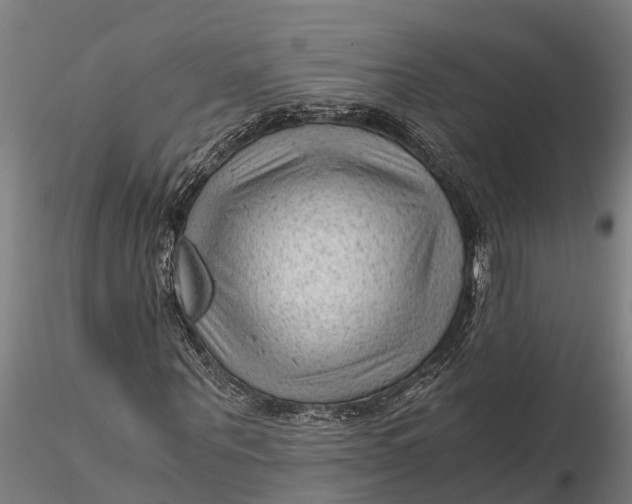 X0000115680867200912031417