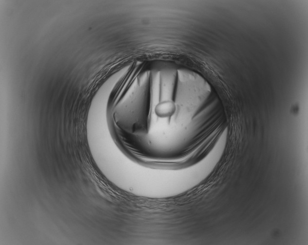 X0000115680868200912031417