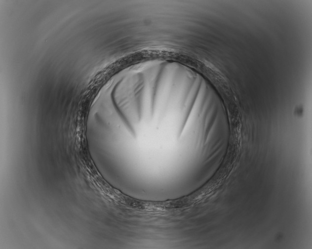 X0000115680870200912031417