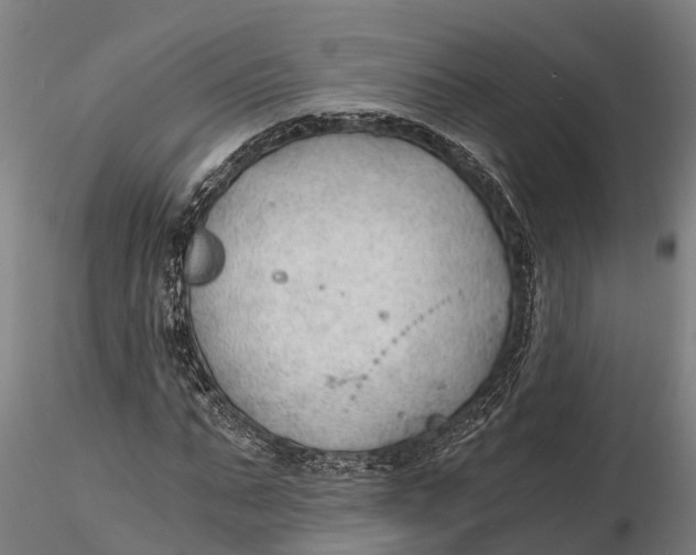 X0000115680871200912031417