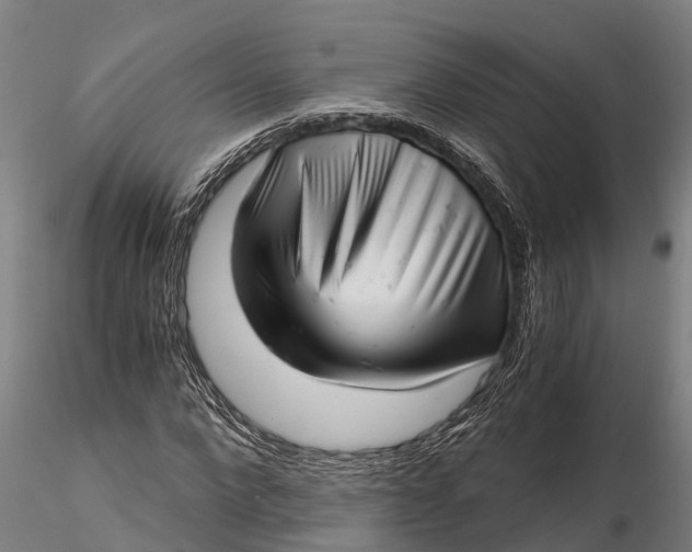 X0000115680872200912031417