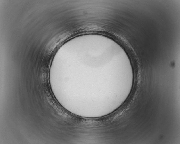 X0000115680873200912031417