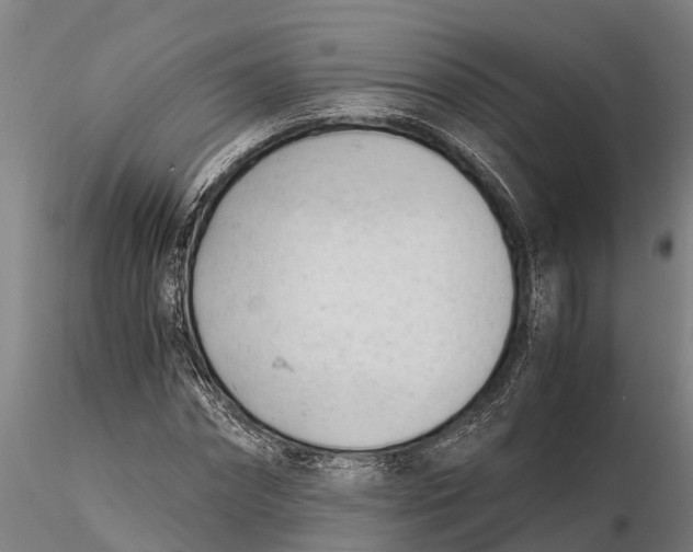 X0000115680874200912031417