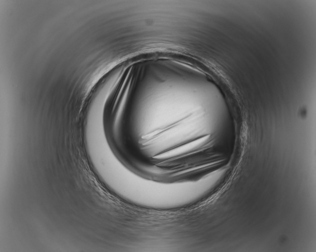 X0000115680877200912031417