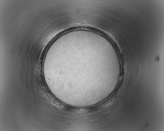 X0000115680879200912031417