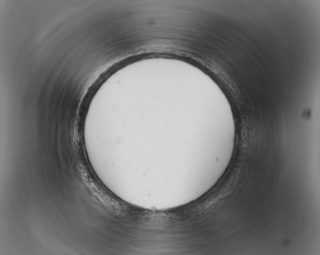 X0000115680880200912031417