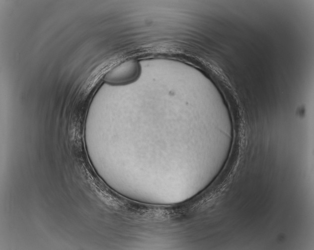 X0000115680881200912031417