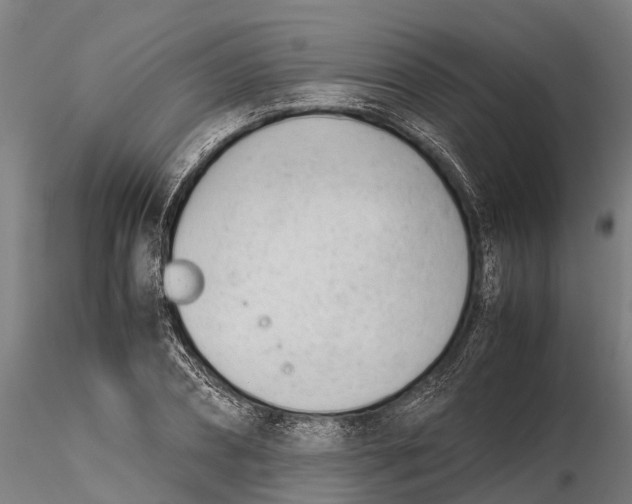 X0000115680882200912031417