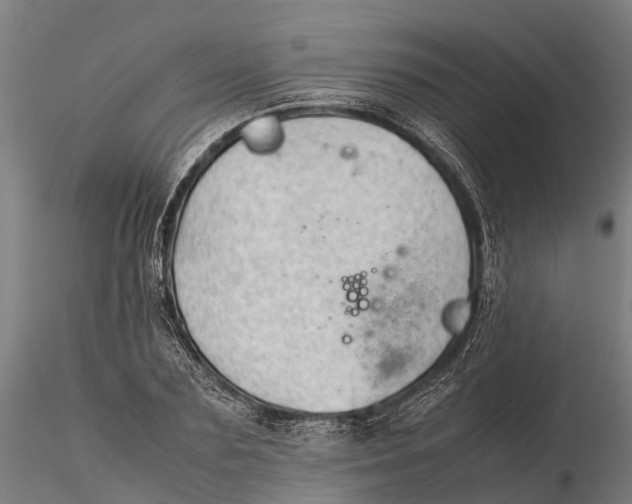 X0000115680883200912031417