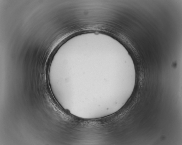 X0000115680884200912031417