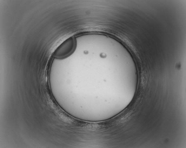 X0000115680885200912031417