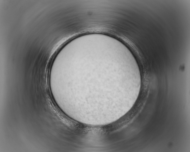 X0000115680886200912031417