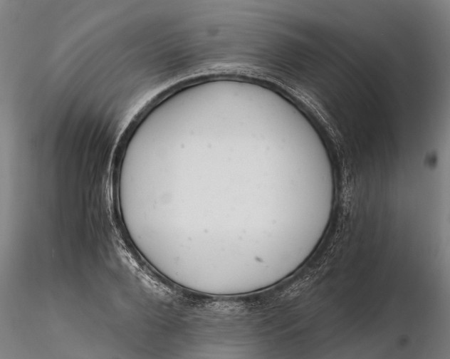 X0000115680888200912031417