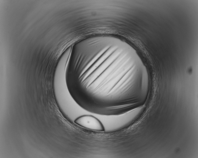 X0000115680889200912031417