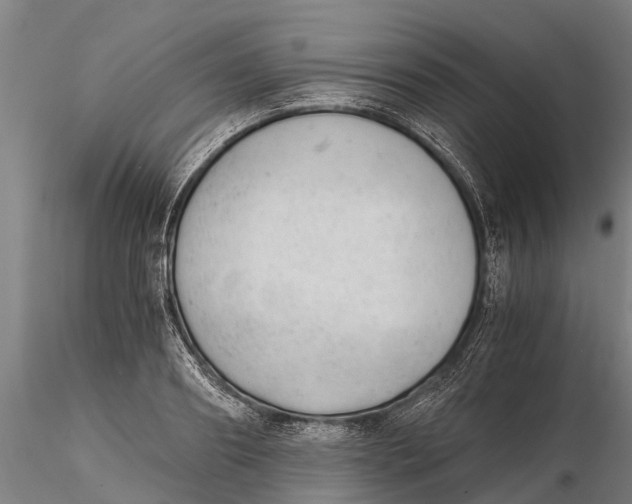 X0000115680890200912031417