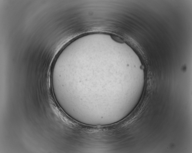 X0000115680892200912031417