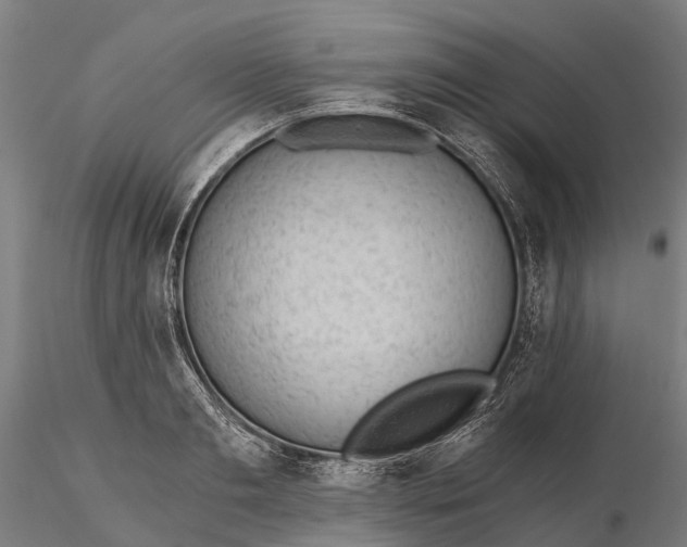 X0000115680893200912031417