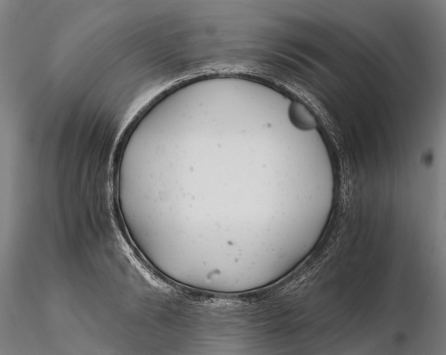 X0000115680894200912031417