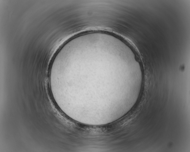 X0000115680895200912031417