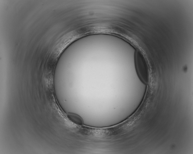 X0000115680897200912031417