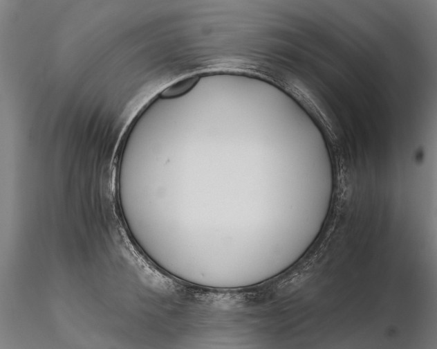 X0000115680900200912031416