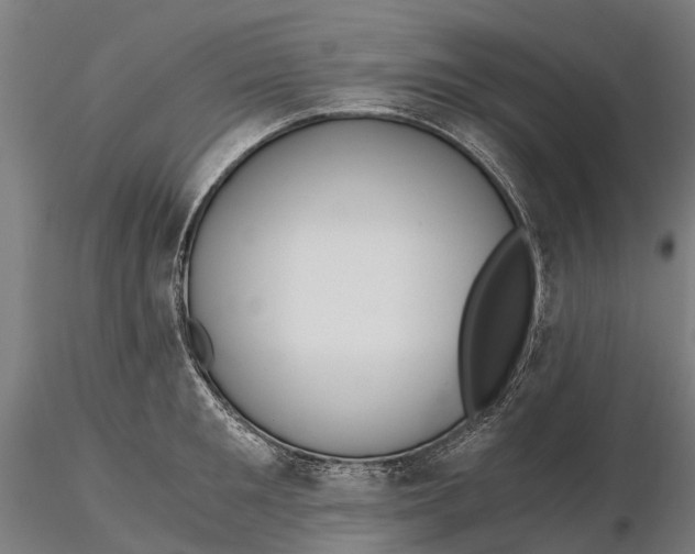 X0000115680901200912031416