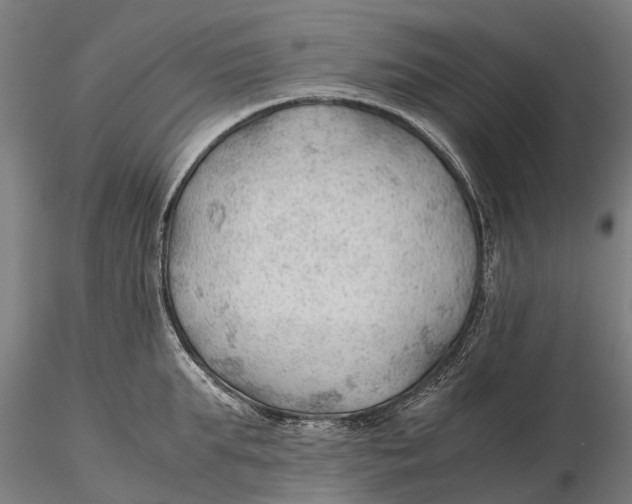 X0000115680903200912031416