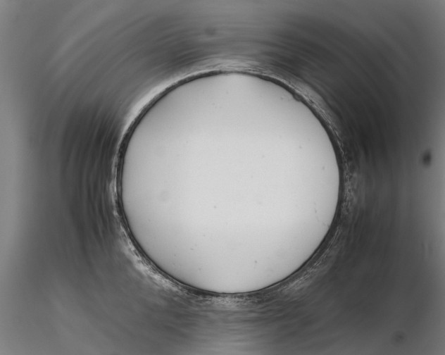 X0000115680904200912031416