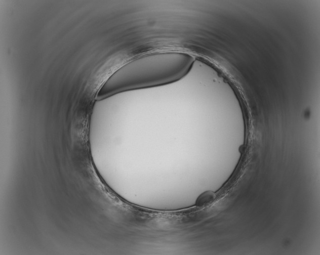 X0000115680905200912031416