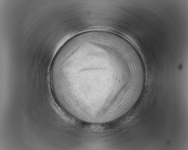 X0000115680907200912031416