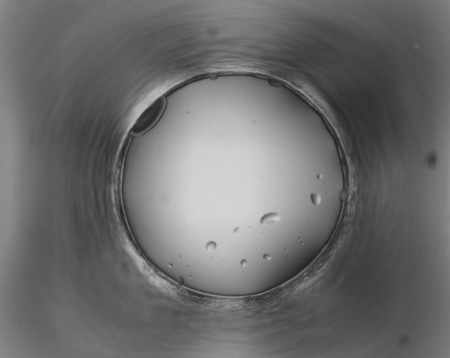 X0000115680909200912031416