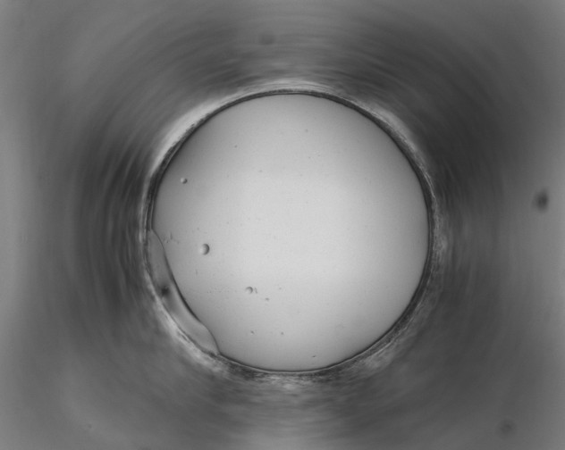 X0000115680910200912031416