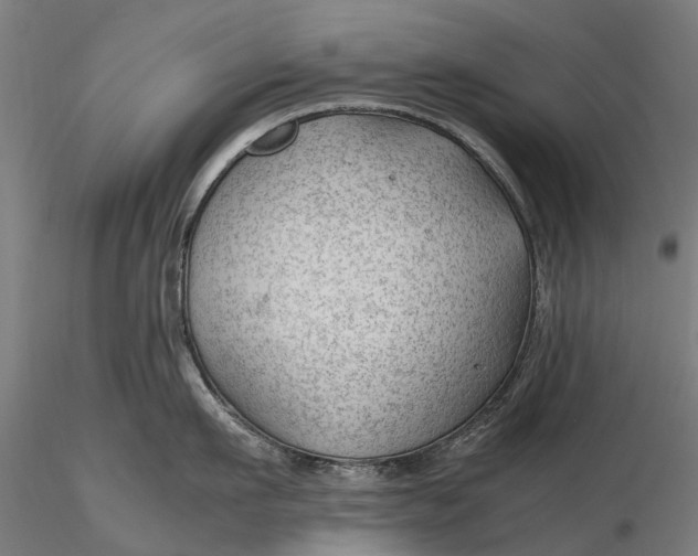 X0000115680911200912031416