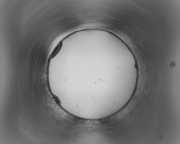 X0000115680912200912031416